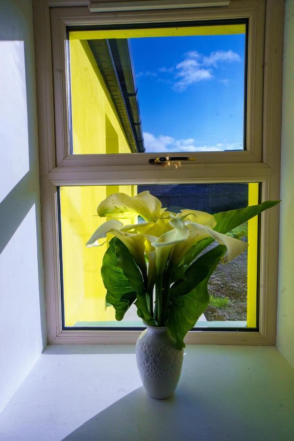 Carrig Island Lodge Ballylongford Exteriér fotografie